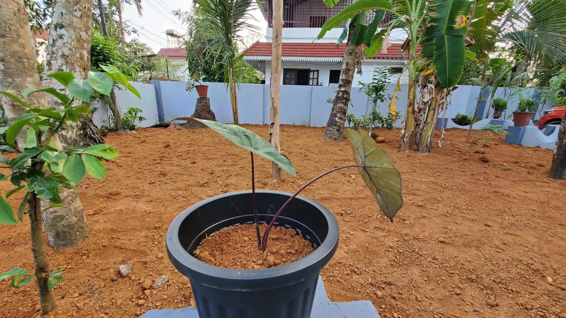 Layanila Homes -Alappuzha Holiday home Alappuzha