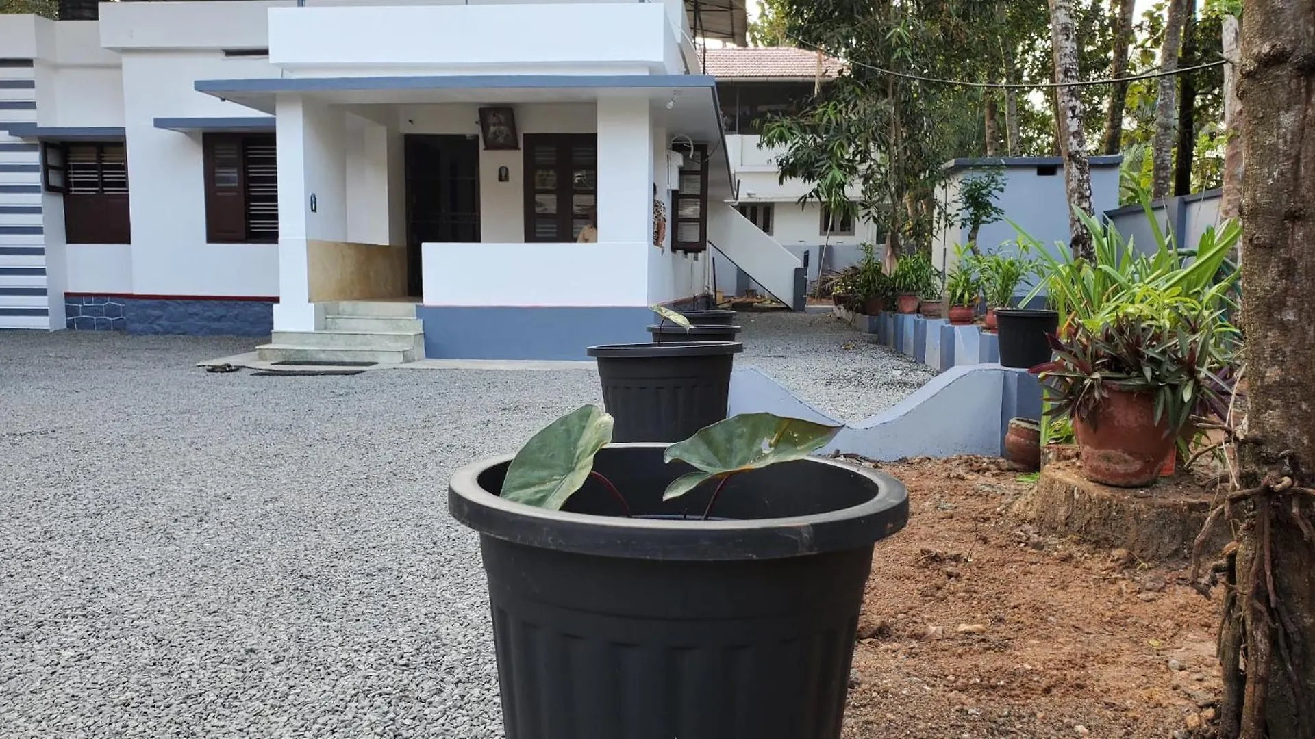 Layanila Homes -Alappuzha Alappuzha